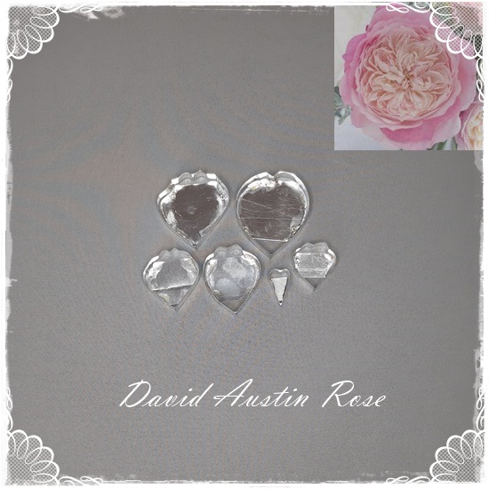 David Austin Rose Cutters