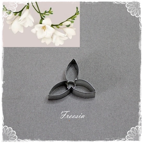 Freesia Petal