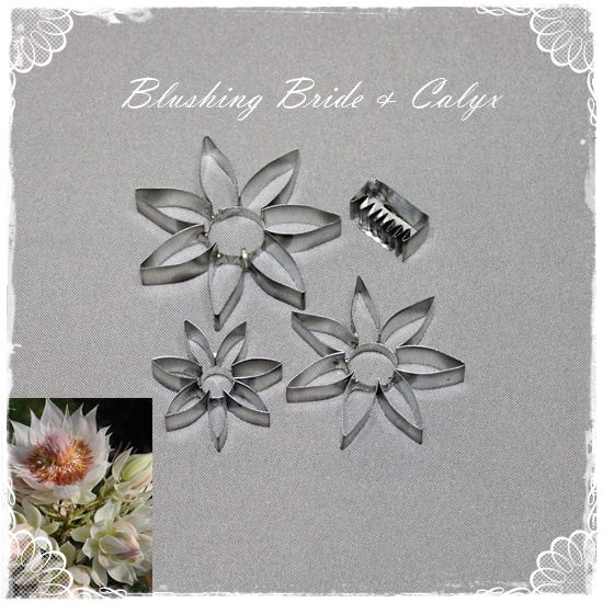 Blushing Bride and Calyx Cutters