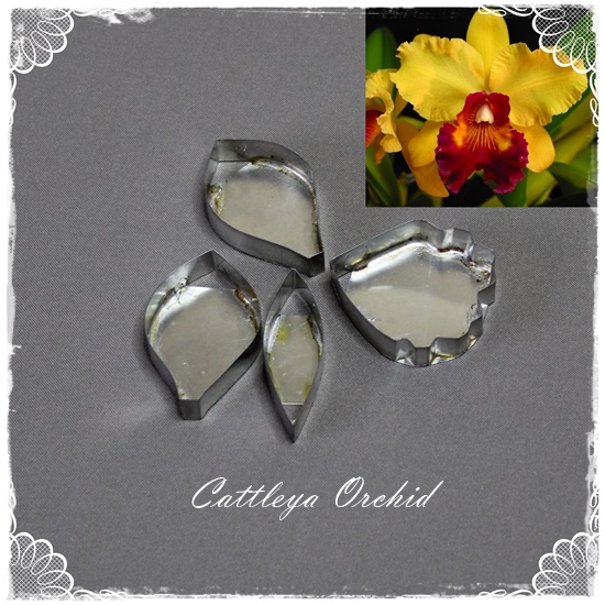 Cattleya Orchid Cutters