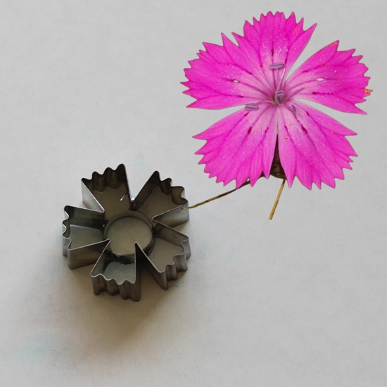 Dianthuse Cutter