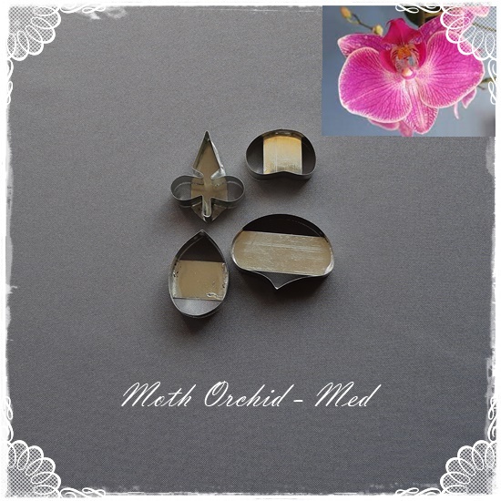 Moth Orchid Cutter