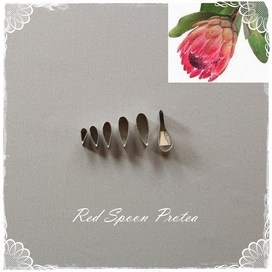 Red Spoon Protea Flower Cutter