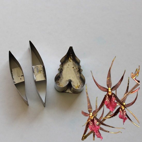 Degarmoara Orchid Cutters