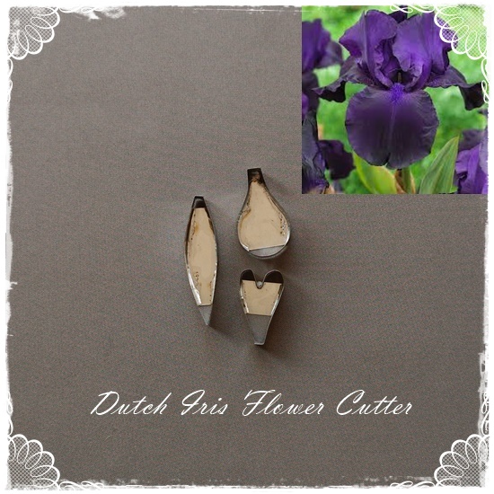 Dutch Iris Flower Cutter