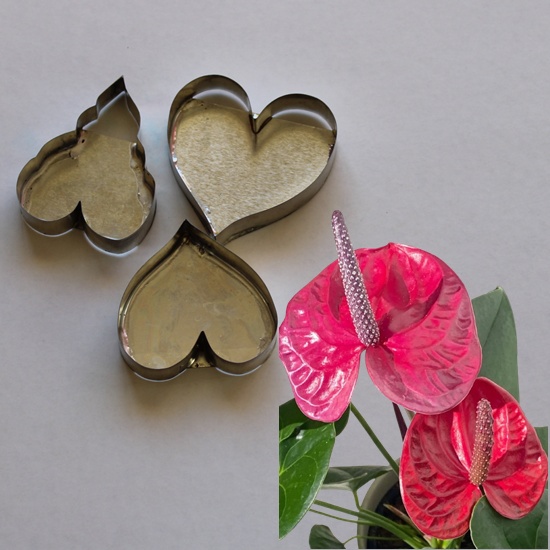 Anthurium Petals and Leaf Cutters