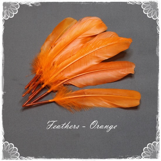 Feathers – Orange