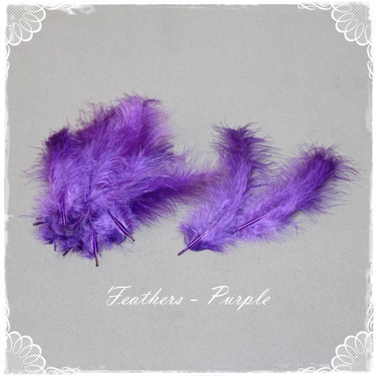 Feathers – Purple