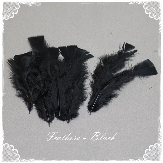 Feathers – Black