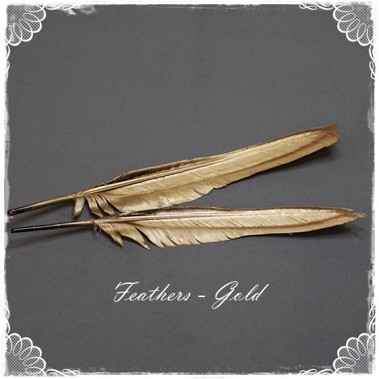 Feathers – Gold