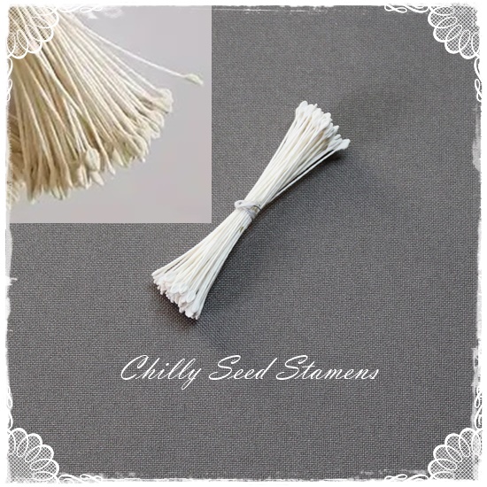 Chilly Seed Stamens