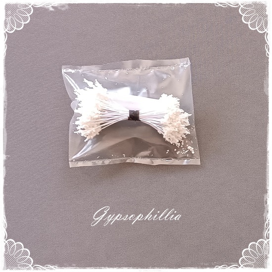 Gypsophilia Stamens