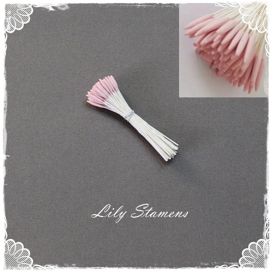 Lily Stamens – Pink
