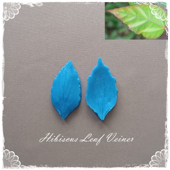 Hibiscus Leaf Veiner