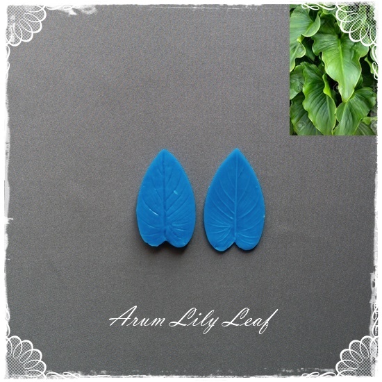 Arum Lily Leaf Veiner