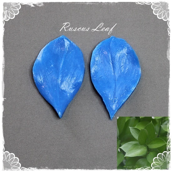 Ruscus Leaf Veiner