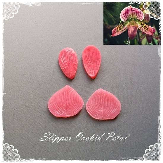 Slipper Orchid Petal Veiner