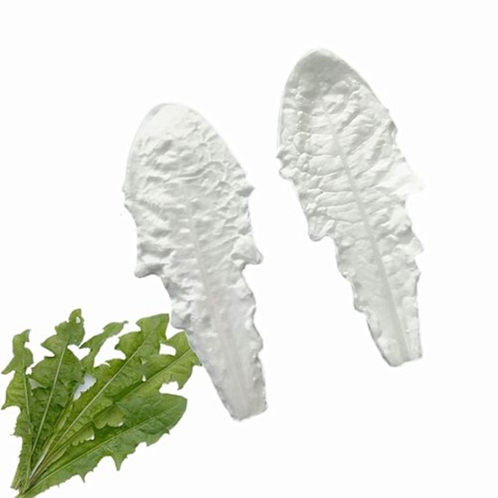 Dandelion Leaf Veiner