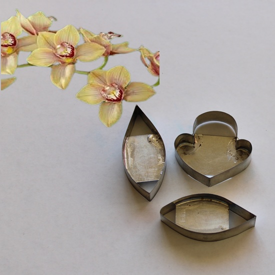 Cymbidium Orchid Cutters